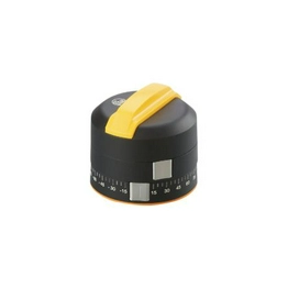E12516 ifm electronic