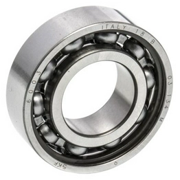 6003 SKF
