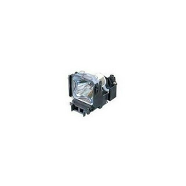 WW-L24C-9 International Lighting
