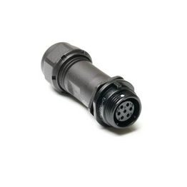 304654 RS