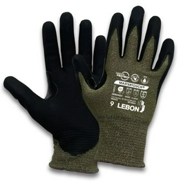 MASTERTOUCH-10 Lebon Protection