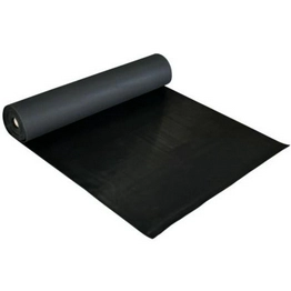 RR010025 COBA