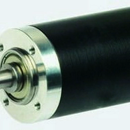 166161 maxon motor
