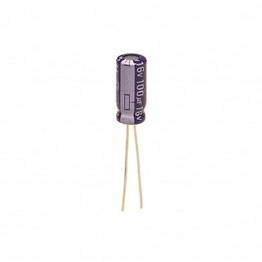 ECA1CM101B Panasonic