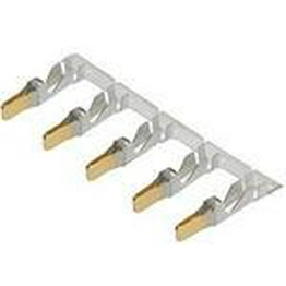 428170011 molex