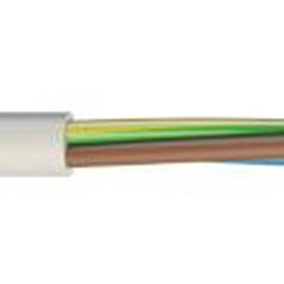 RS 2537016 image