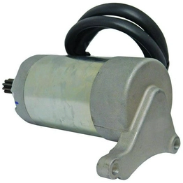 255578STARTER International Lighting