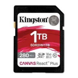 SDR2V6/1TB Kingston Technology
