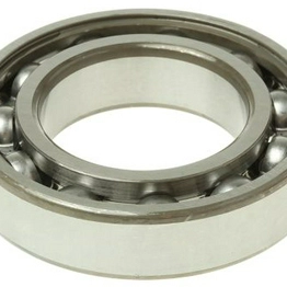 6007 SKF