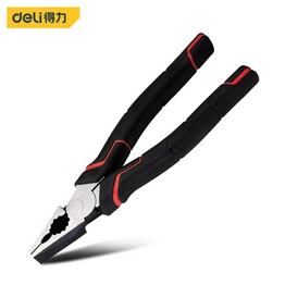 DL100107 DELI