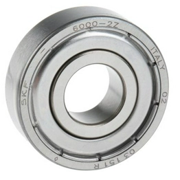 6000-2Z SKF
