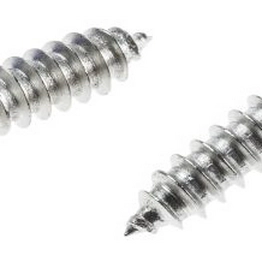 RS 7976143 image