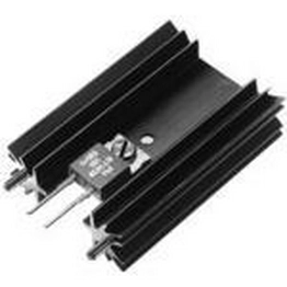 SK 104 63,5 STS Fischer Elektronik