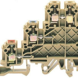 RS 501667 image