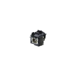 WW-EV8T-2 International Lighting
