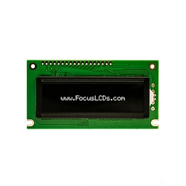 FOCUS LCDs G123AXGFGSW6WN55AAC image