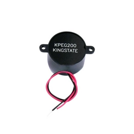 KPEG200 Kingstate Electronics