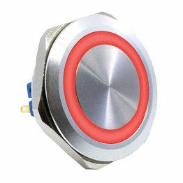 PV10F2Y0SS-315 E-SWITCH
