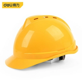 DL525011 DELI