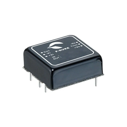 P-DUKE LCD30-24S24 image