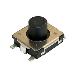 Panasonic EVPBT2G4A000 image