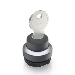 RAFI 1.30.275.432/0000 image