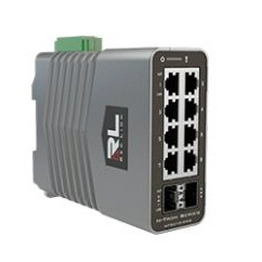 NT-5010-DM2-0000 RED LION