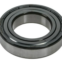 6007-2Z SKF