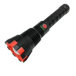 RS 2554197 image
