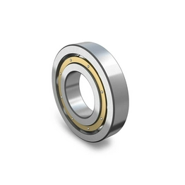 TSN 224 S SKF