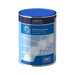 LGHQ 2/1 SKF