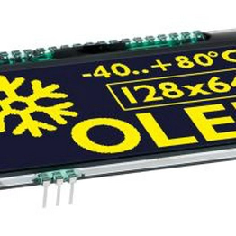 DISPLAY VISIONS EA OLEDL128-6LGA image