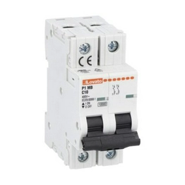 Lovato Electric P1MB2PC10 image