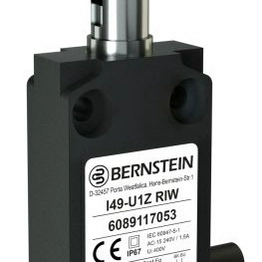 I49-U1Z RIW BERNSTEIN