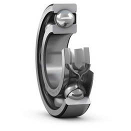 6006 N SKF