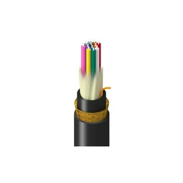 TM-SD9-012-LBAN BELDEN