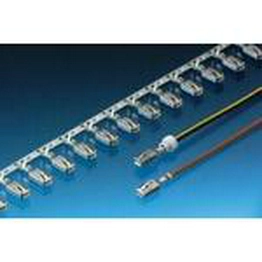 10811289 APTIV