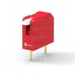 DP-1-R-T XUNPU