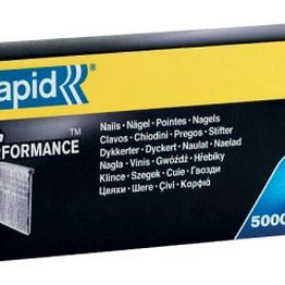 40100537 Rapid
