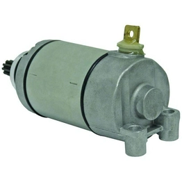 18839STARTER International Lighting