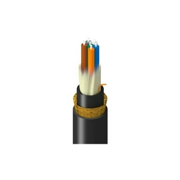 TM-SD9-006-LBAN BELDEN