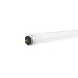 8PAK:WX-EHJB-2 International Lighting