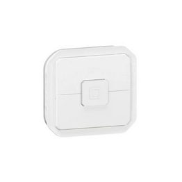 069629L legrand