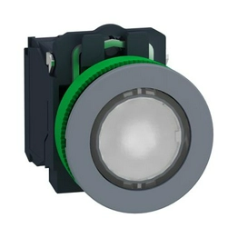 XB5FW31M5C0 Schneider Electric