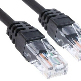 RS 7916987 image