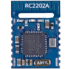 RC2022A RF CRAZY