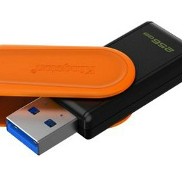 DTXS/256GB Kingston Technology