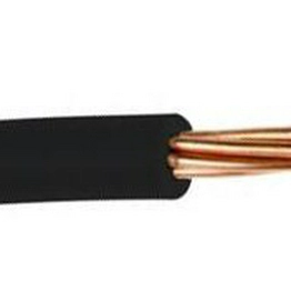 RS 359116 image
