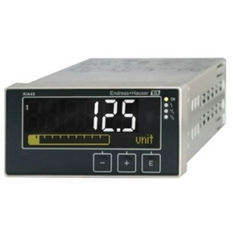 ENDRESS+HAUSER RIA45-A1C1 image