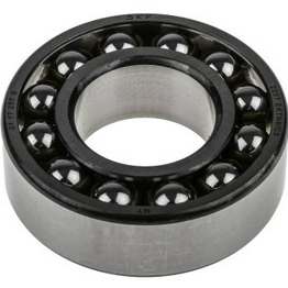 2207 EKTN9/C3 SKF